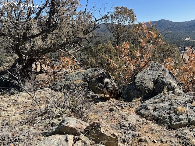 Lot 17 S Dunn Dr, Canon City, CO 81212