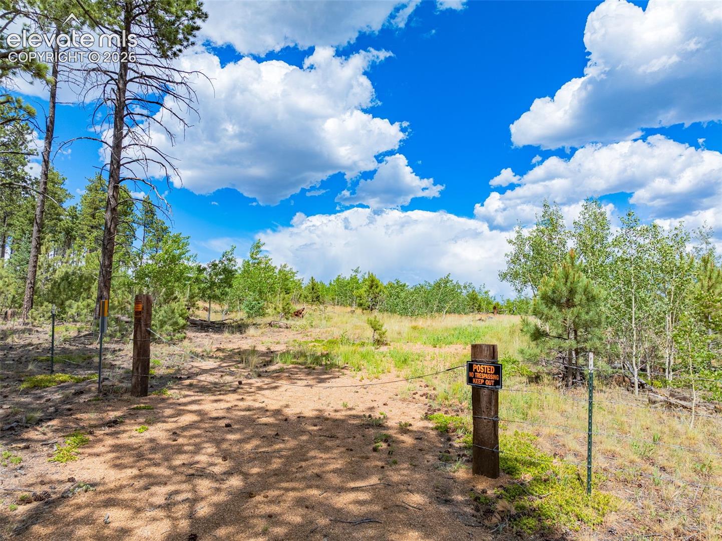Unit 2 County Road 51, Florissant, CO 80816