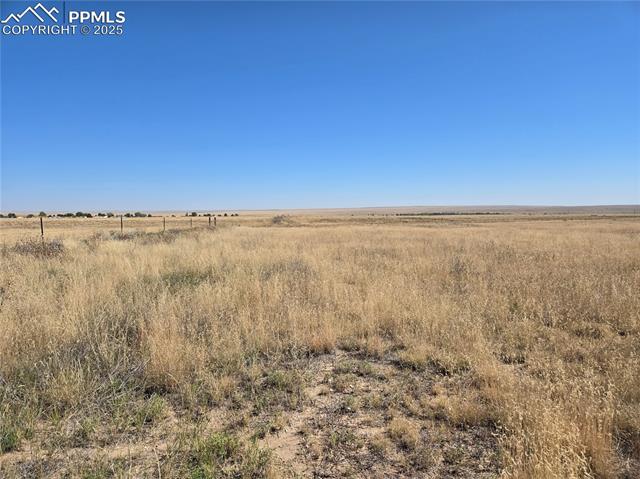 View of local wilderness featuring a rural view