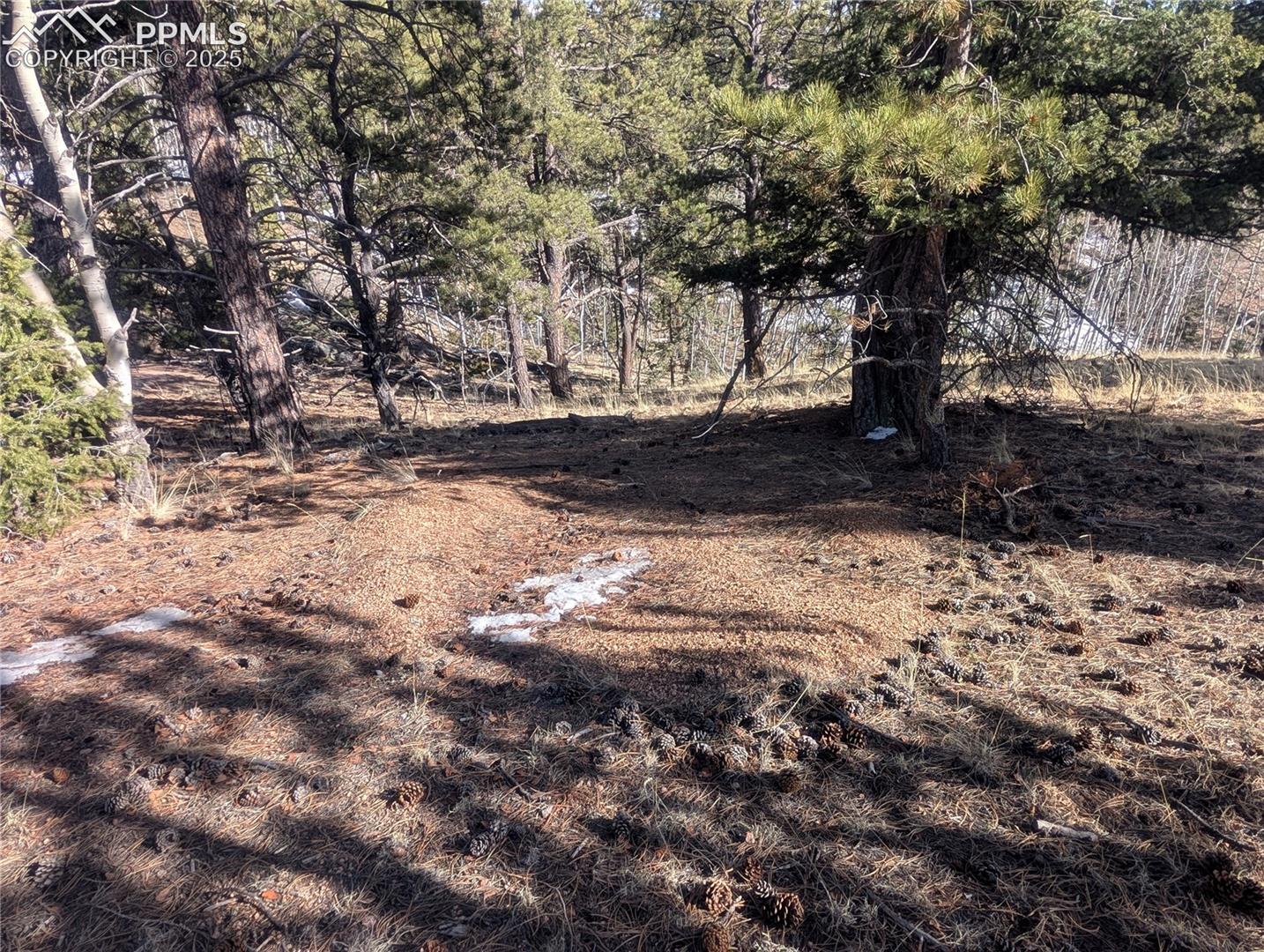 Soils test site