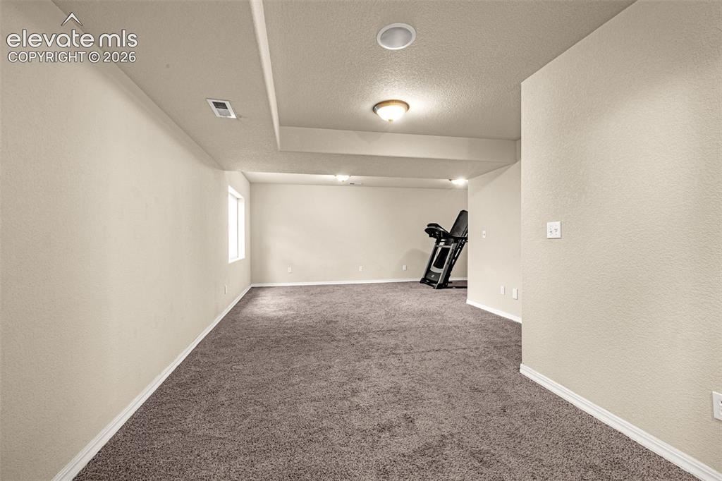 11633 Black Maple Ln, Colorado Springs, CO 80921