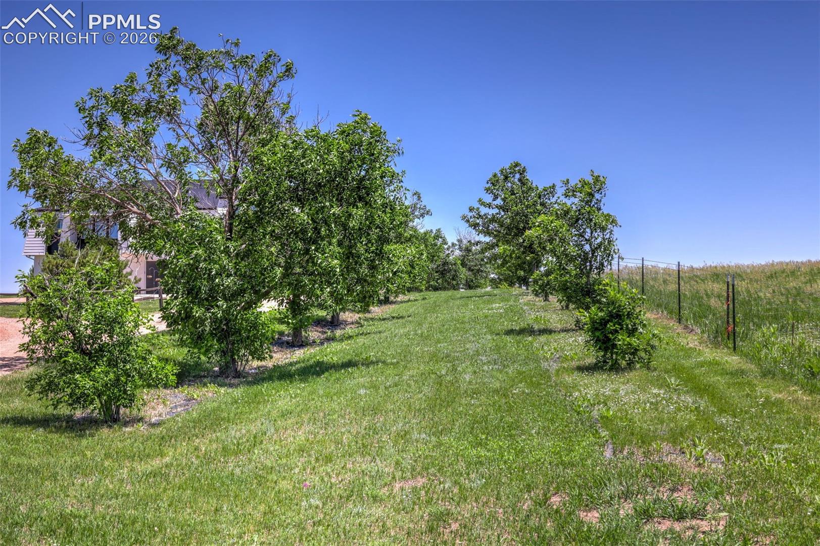 18135 Spur Ranch Rd, Peyton, CO 80831