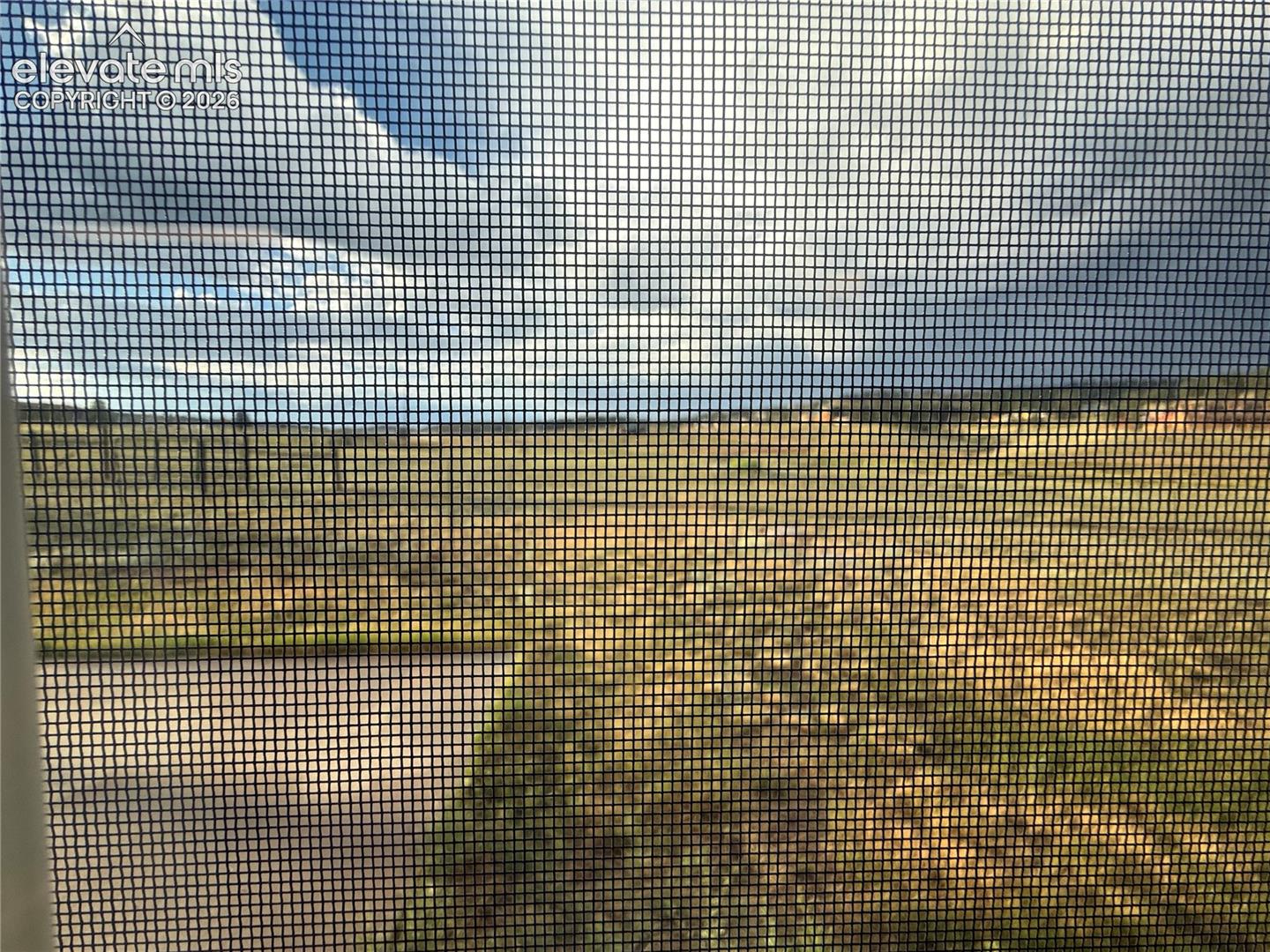 back yard