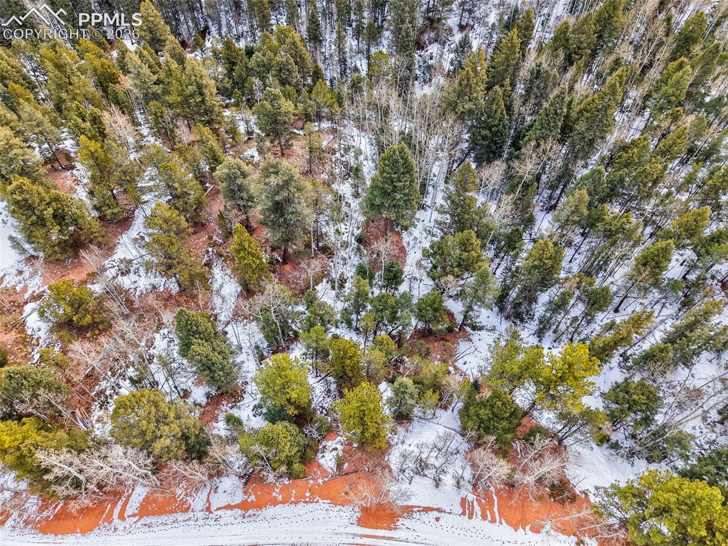 1181 Calcite Dr, Divide, CO 80814