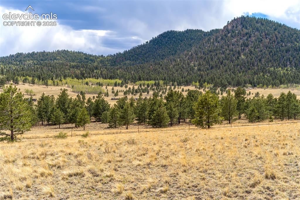 Additional views of surrounding community