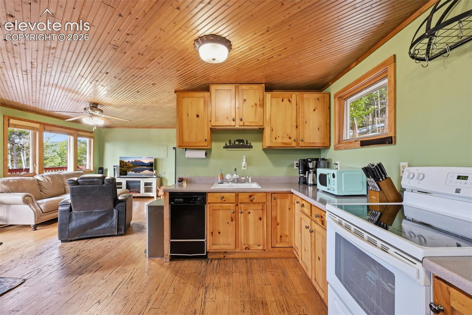 Photo 8 of 34089 Lyttle Dowdle Drive, Golden