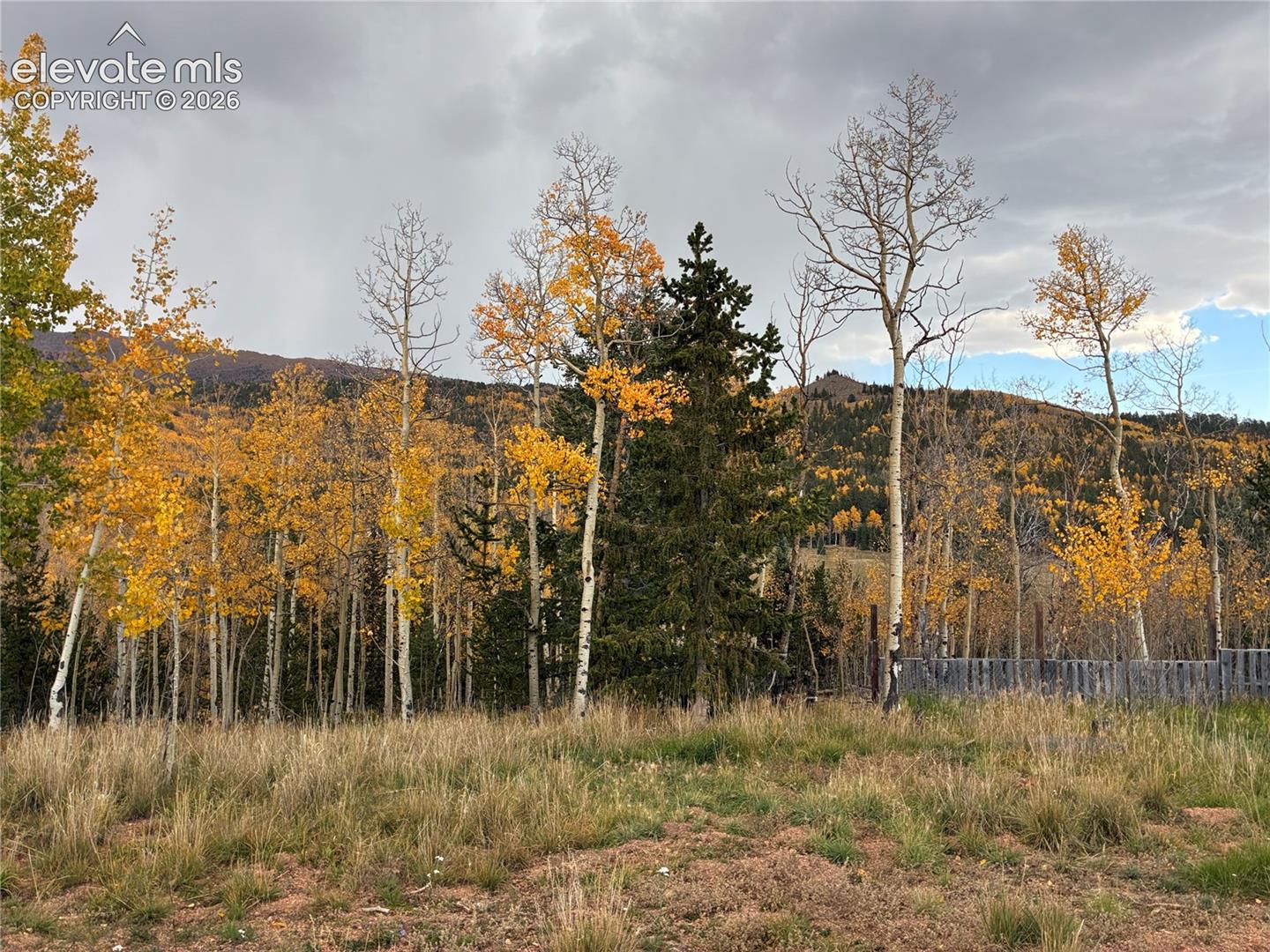 Lot featuring native grasses, mature deciduous trees, evergreen trees, and mountainous terrain