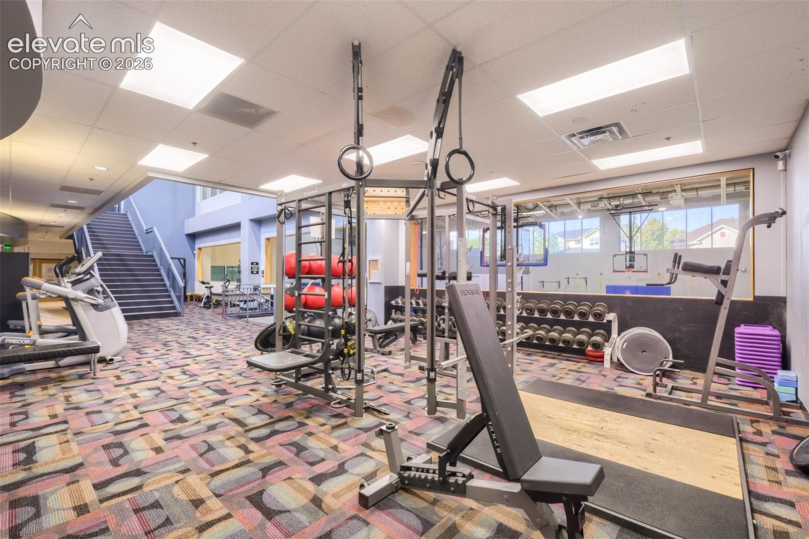 Fitness center with diverse exercise equipment, geometric patterned carpet.