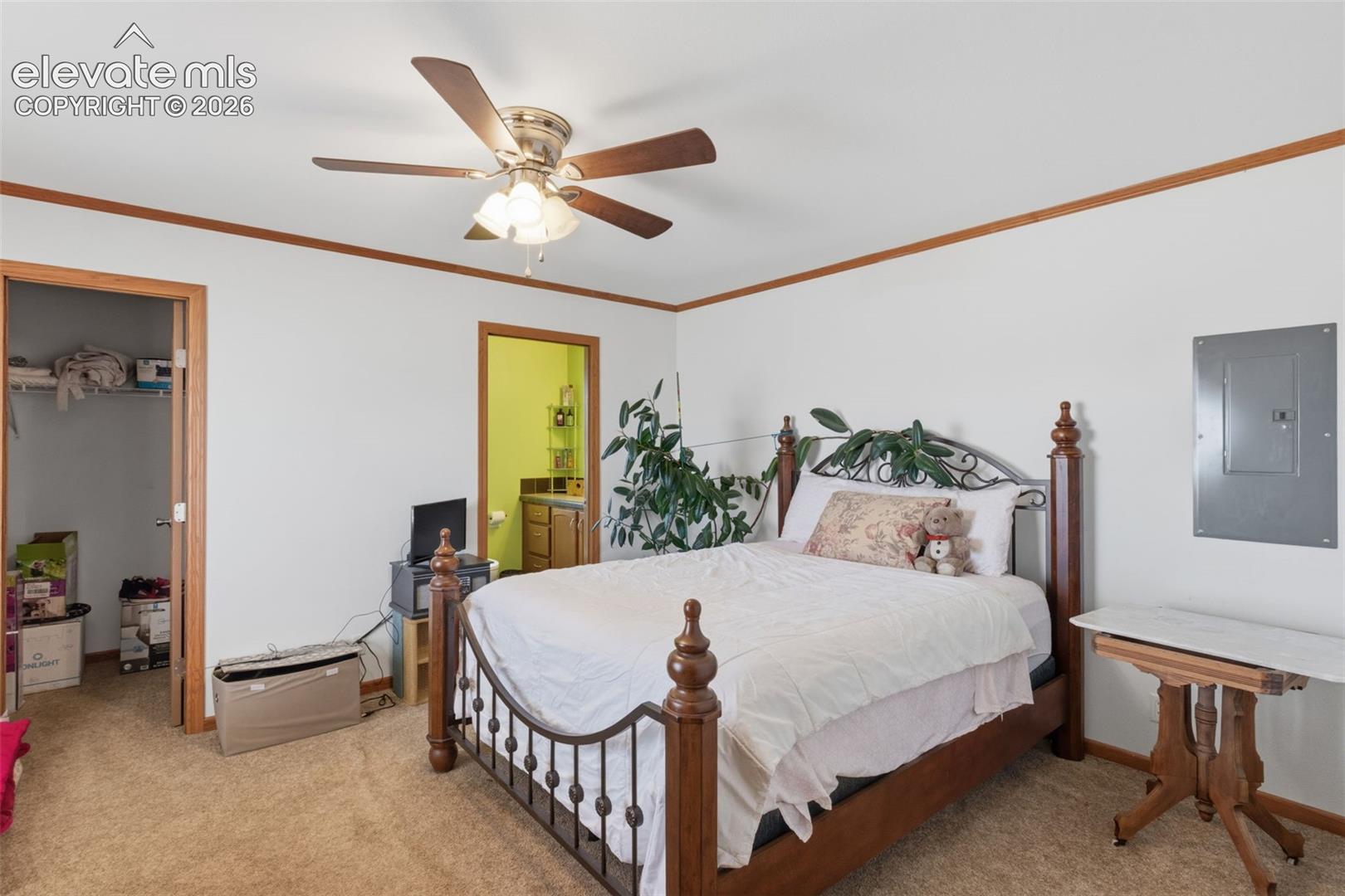 Primary bedroom with walk in closet and attached bathroom