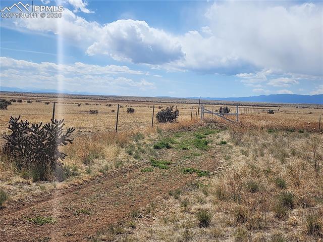 Photo 14 of 12830 Milne Road, Colorado Springs