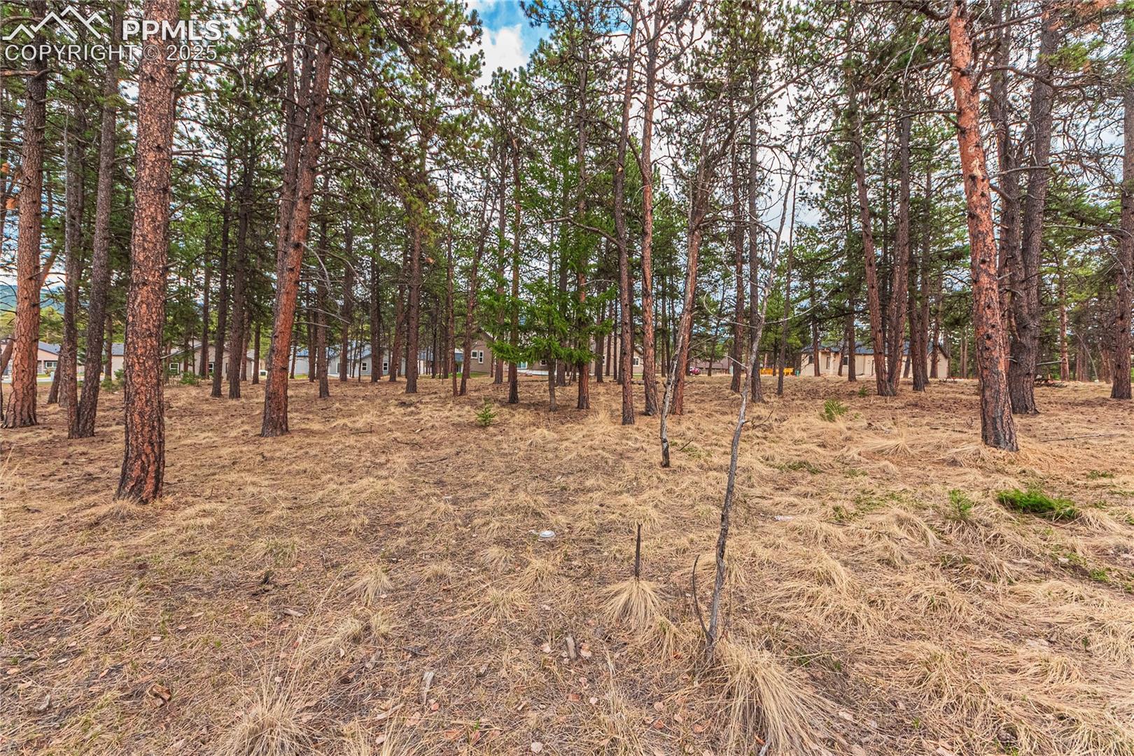 Photo 18 of 1290 Firestone Drive, Woodland Park