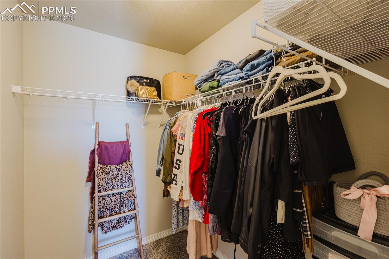 primary bedroom walk in closet