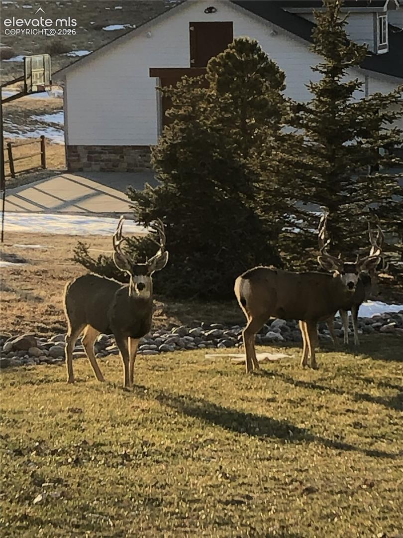 Local residents!