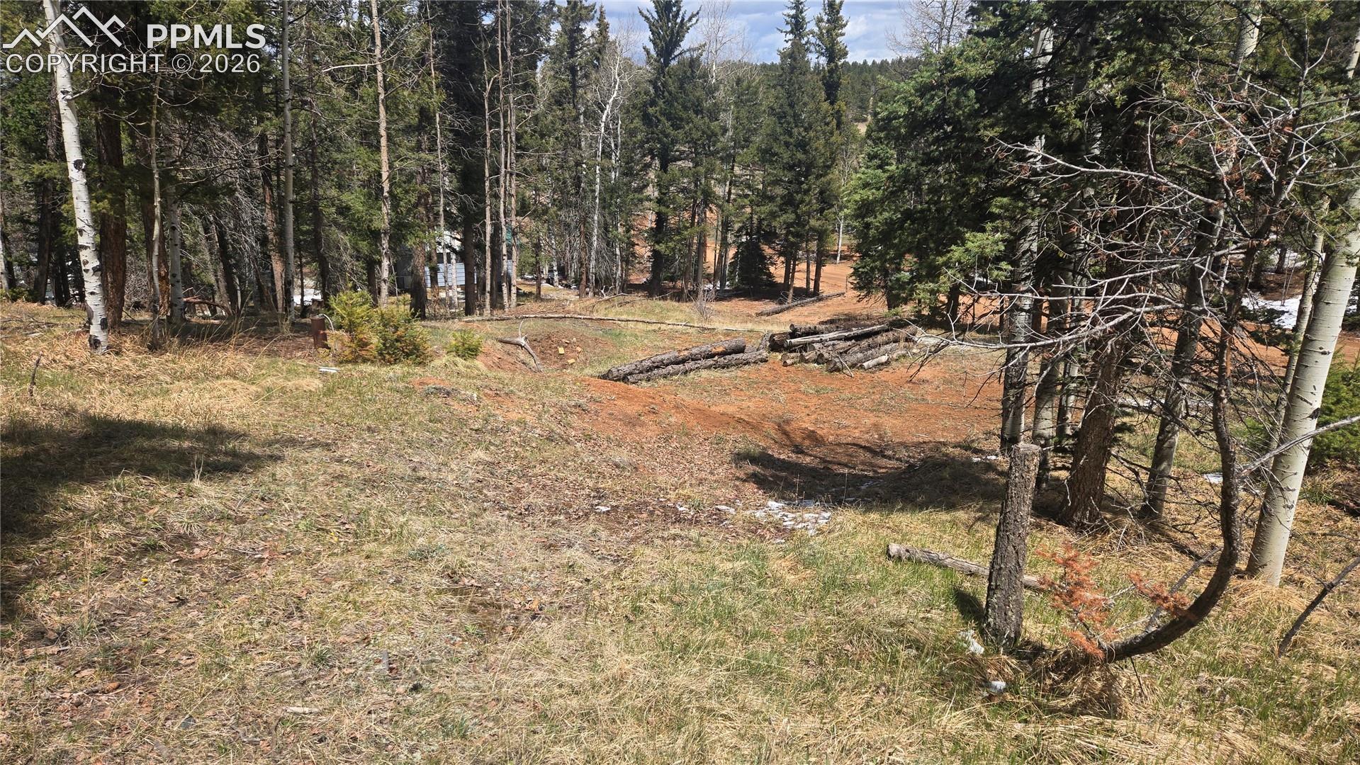 151 Mt Elbert Rd, Florissant, CO 80816