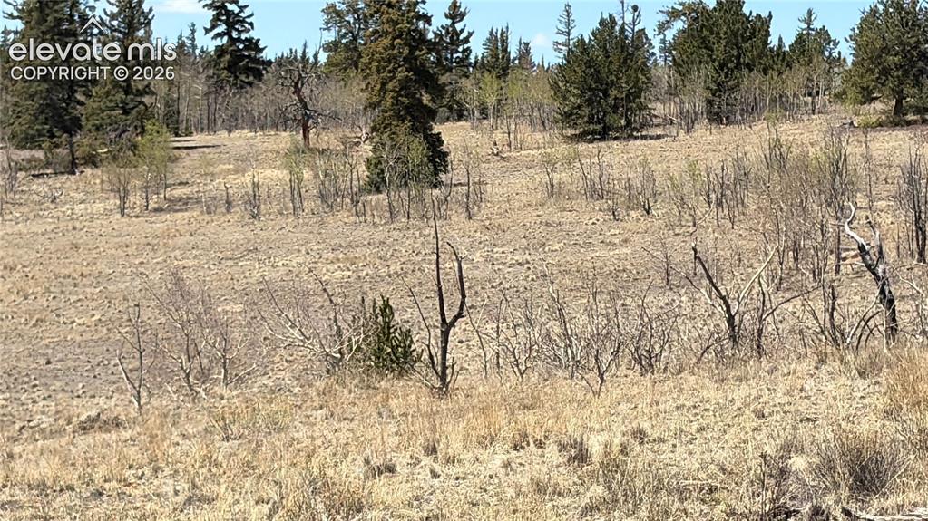 828 Gitche Goone Ln, Jefferson, CO 80456