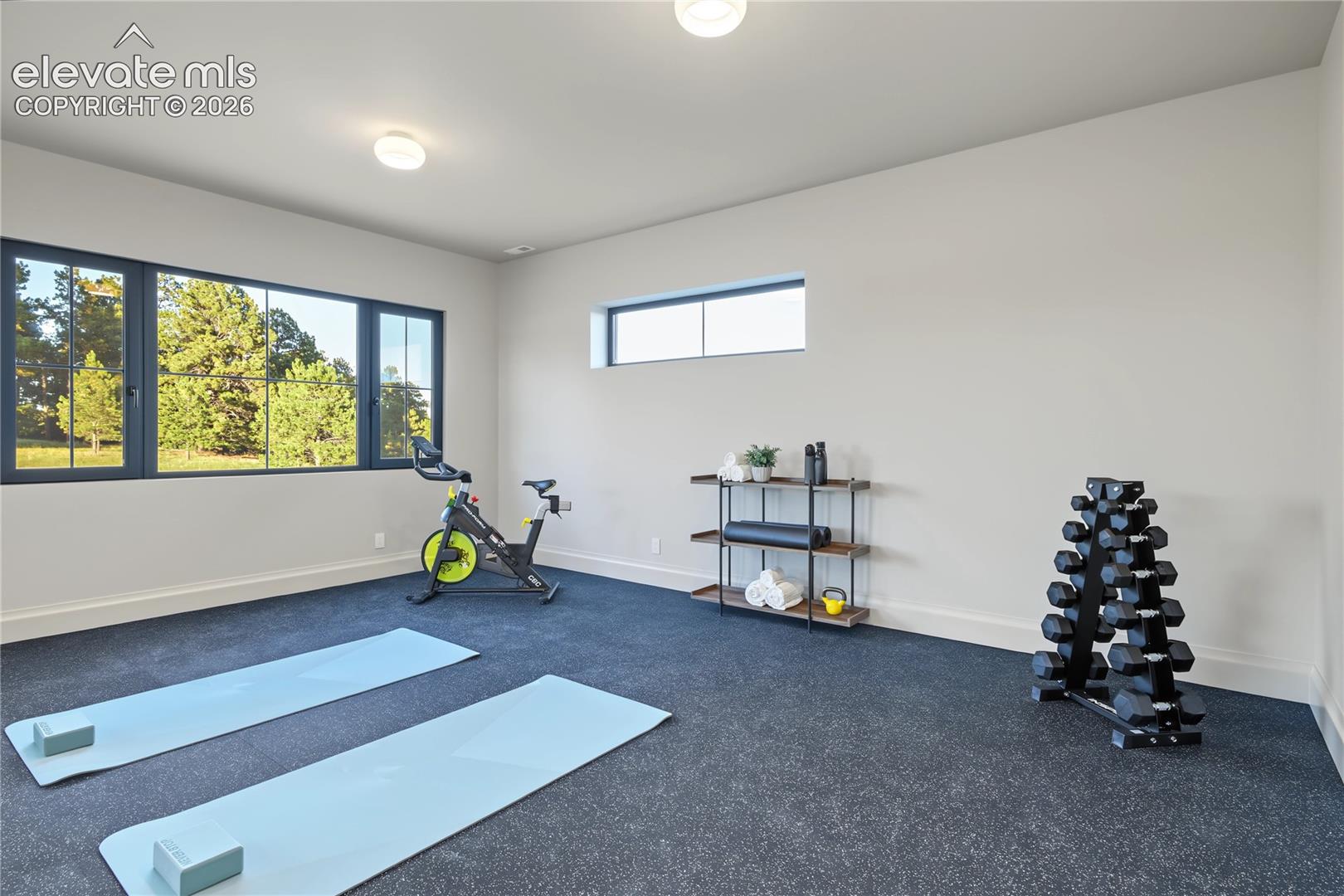 Bonus room currently being used as a excercise room.