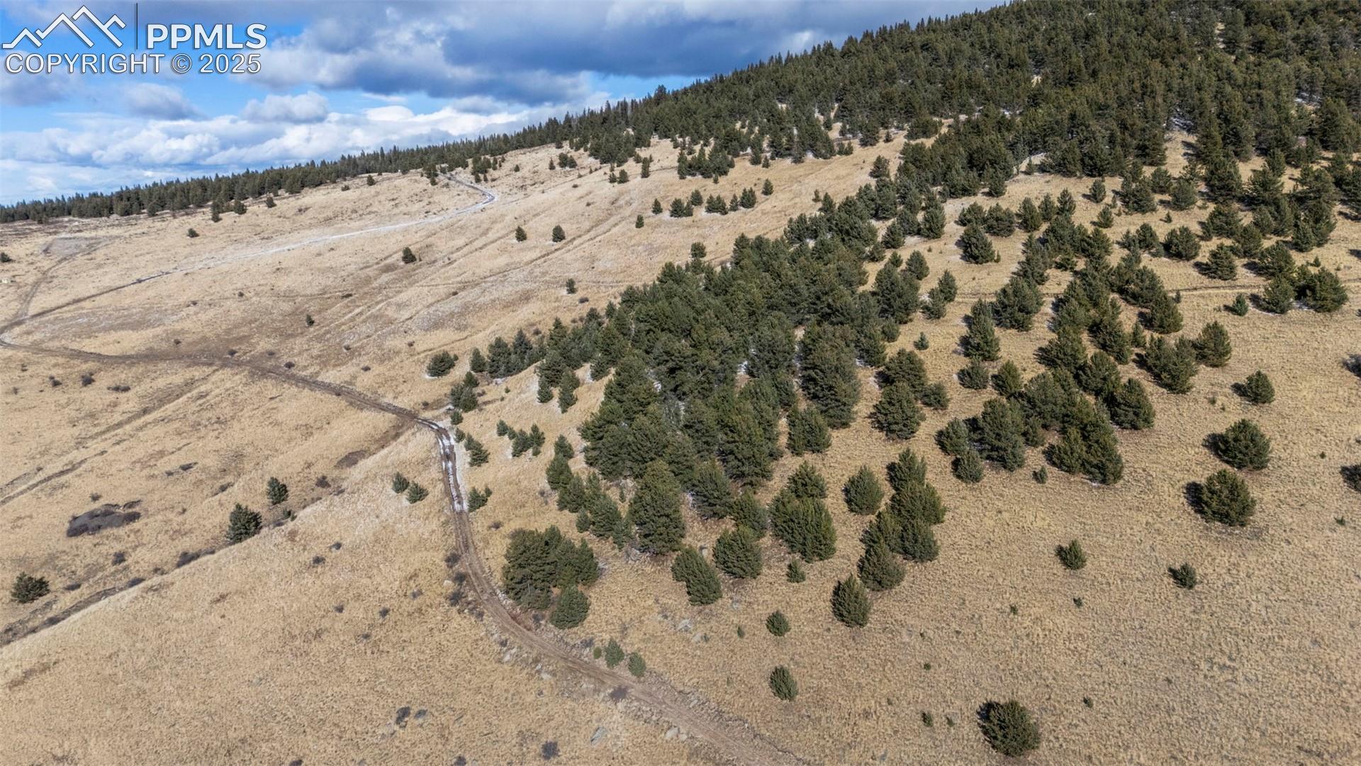 0 Private Rd, Cripple Creek, CO 80813