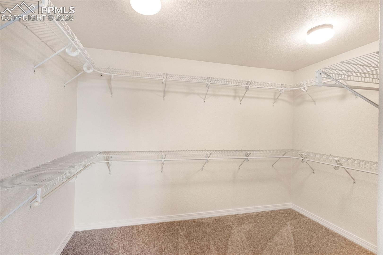 Spacious walk-in closet in primary bedroom, featuring white wire shelving, white walls, and a light brown carpet