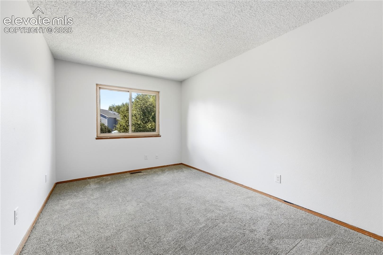 Neutral wall finish, carpeted flooring, faux wood vinyl window