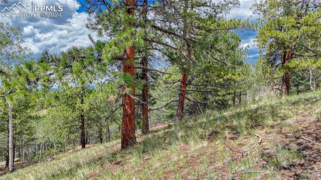 Photo 6 of 24 Wild Horse Circle, Cripple Creek
