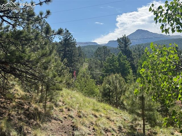 View of mountain background featuring a heavily wooded area