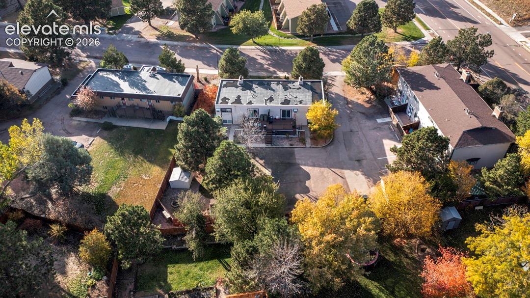 Aerial view featuring mature deciduous and coniferous trees, asphalt paving, and established landscaping