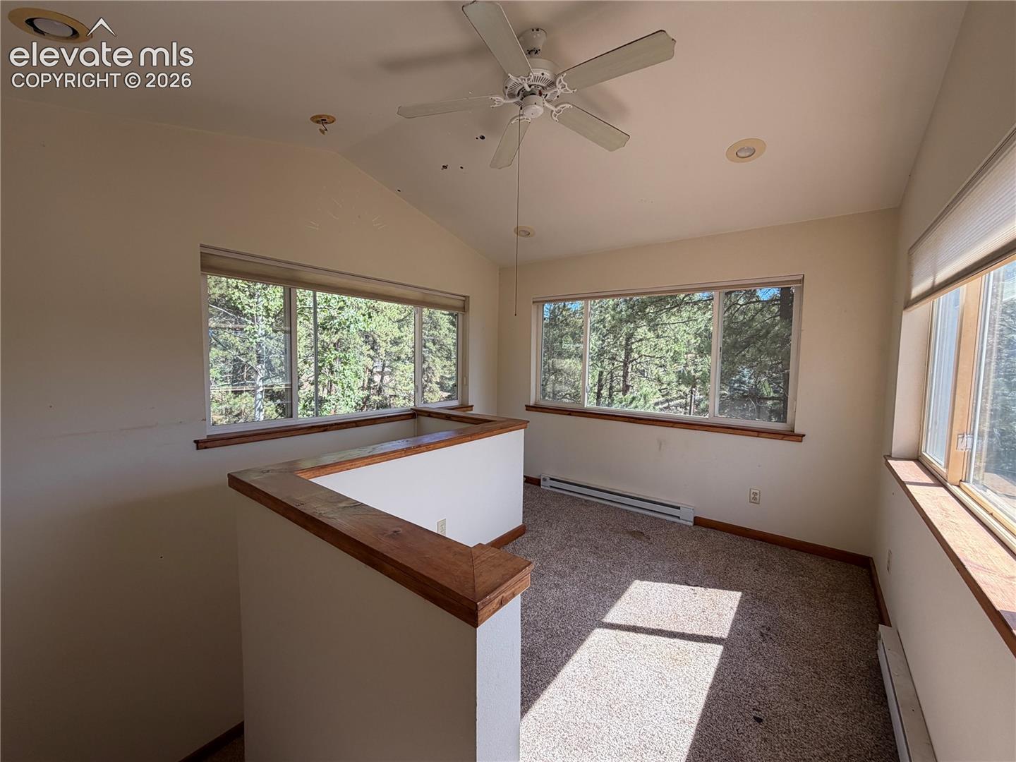 Photo 21 of 124 Trout Creek Drive, Divide