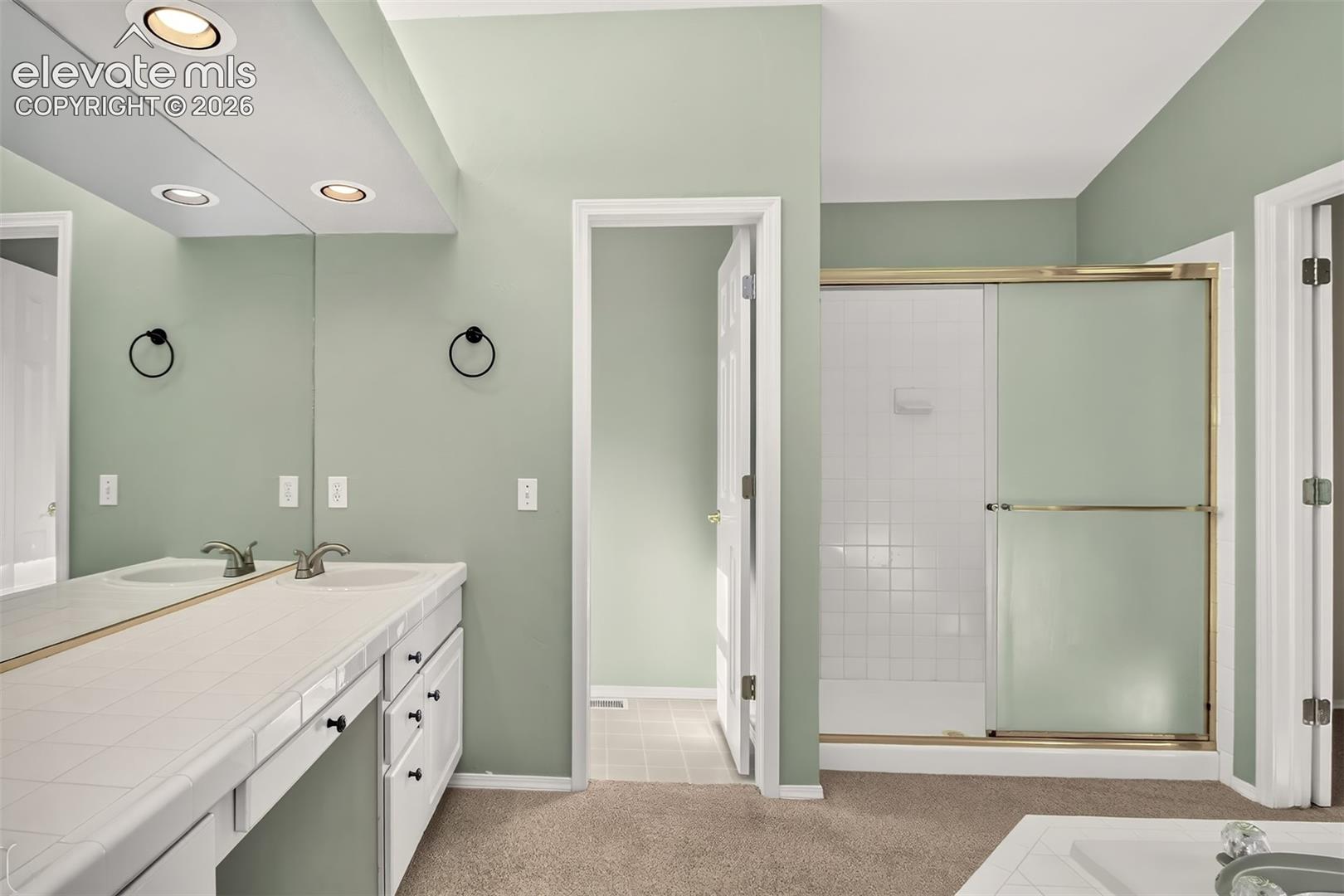 Master shower, walk-in closet not pictured.