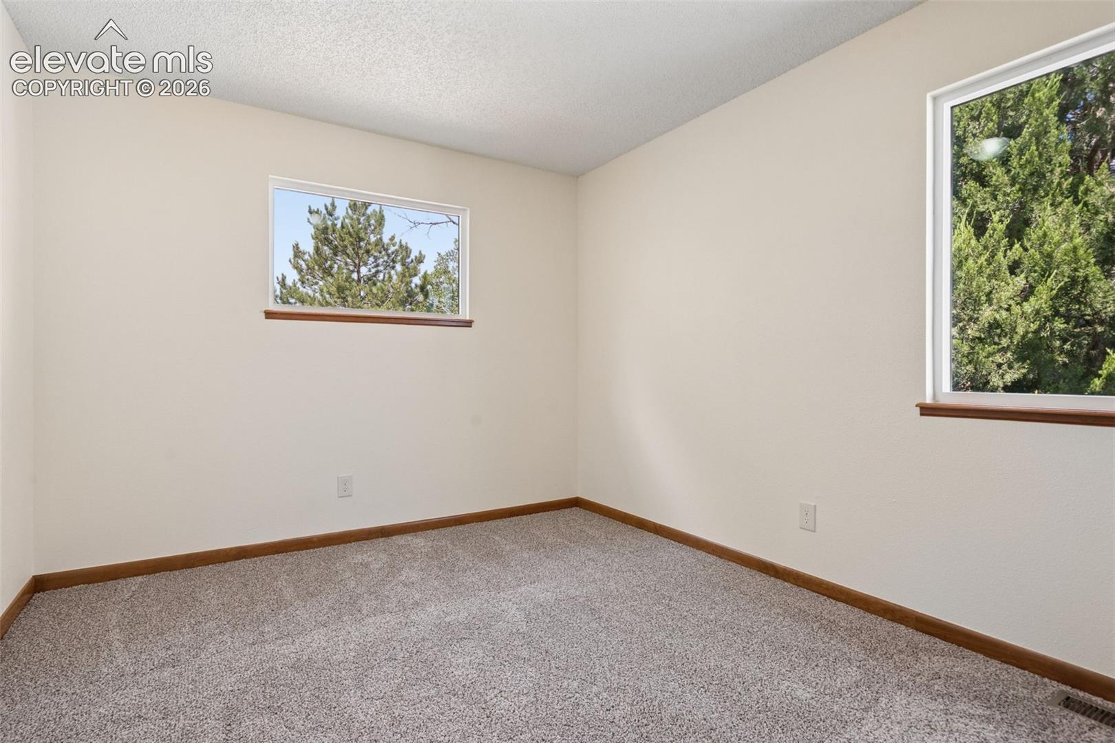 New carpet and paint