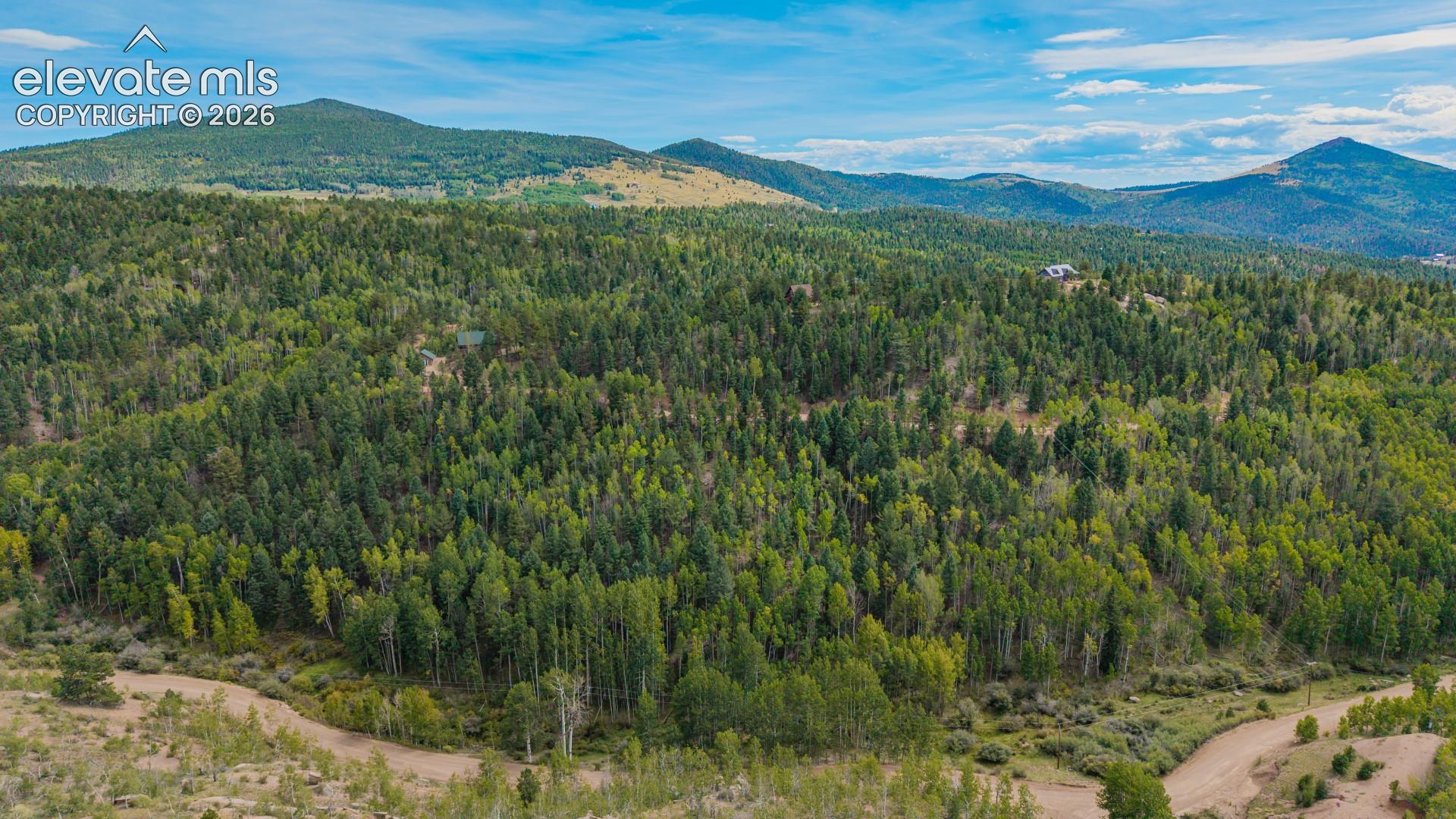 Photo 11 of 1034 Little Topsey Drive, Cripple Creek