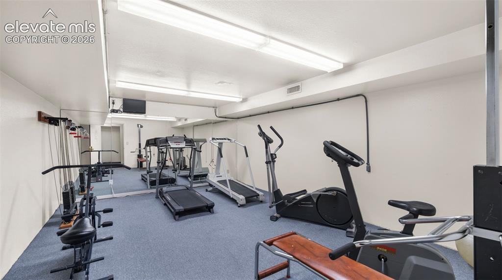 Dedicated fitness space featuring wall-to-wall carpeting and perimeter fluorescent lighting