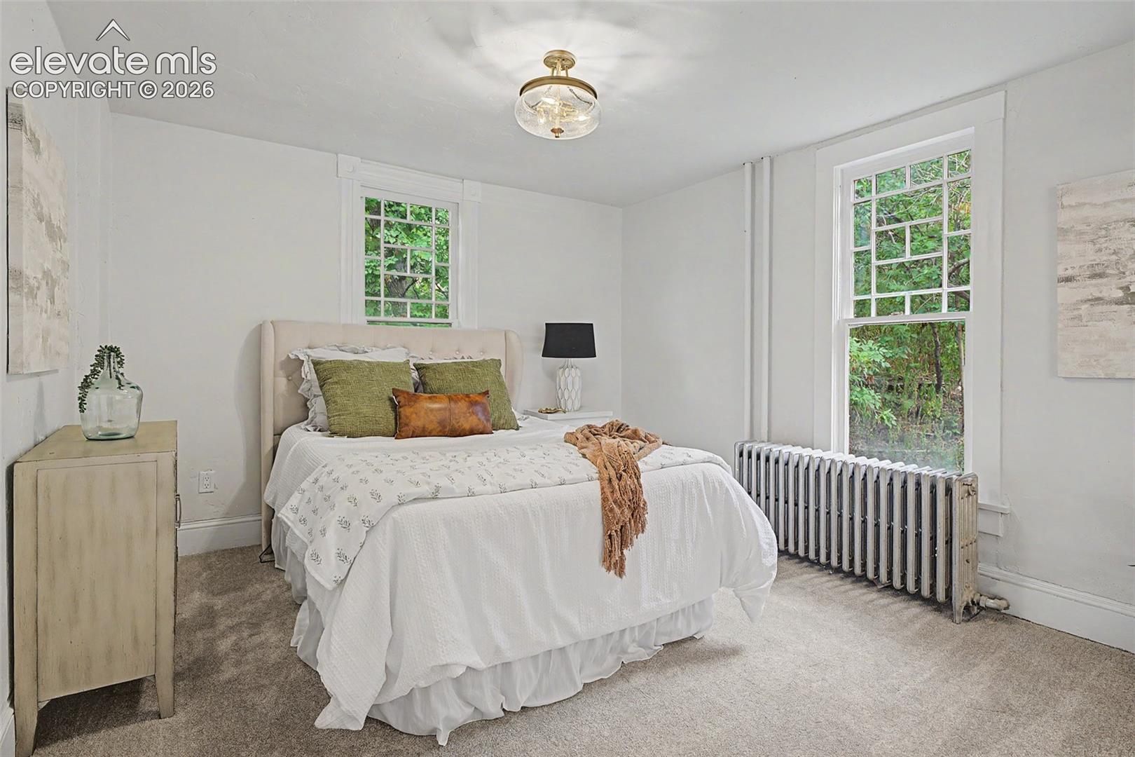 Carpeted room featuring two multi-pane windows, a central flush-mount light fixture, and baseboard molding