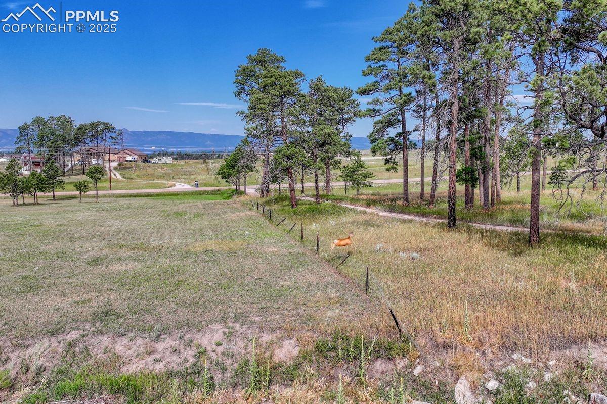 Photo 14 of LOT 4 Forest Heights Circle, Colorado Springs
