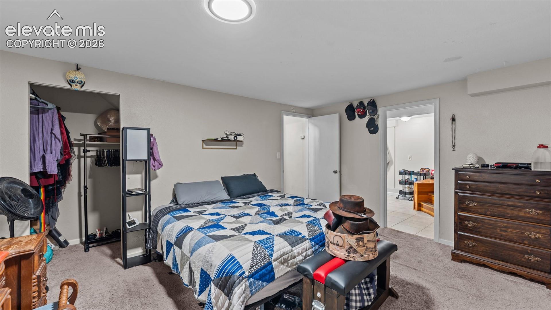 Neutral-toned interior room with wall-to-wall carpeting, an open-concept reach-in closet, and a ceiling-mounted light fixture