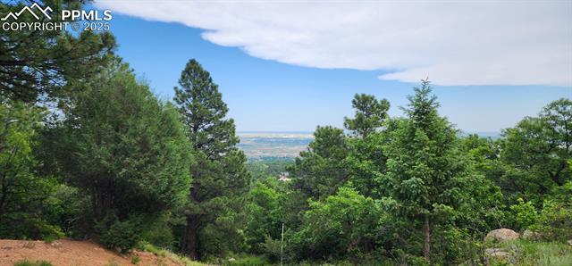 View of mountain backdrop with a heavily wooded area