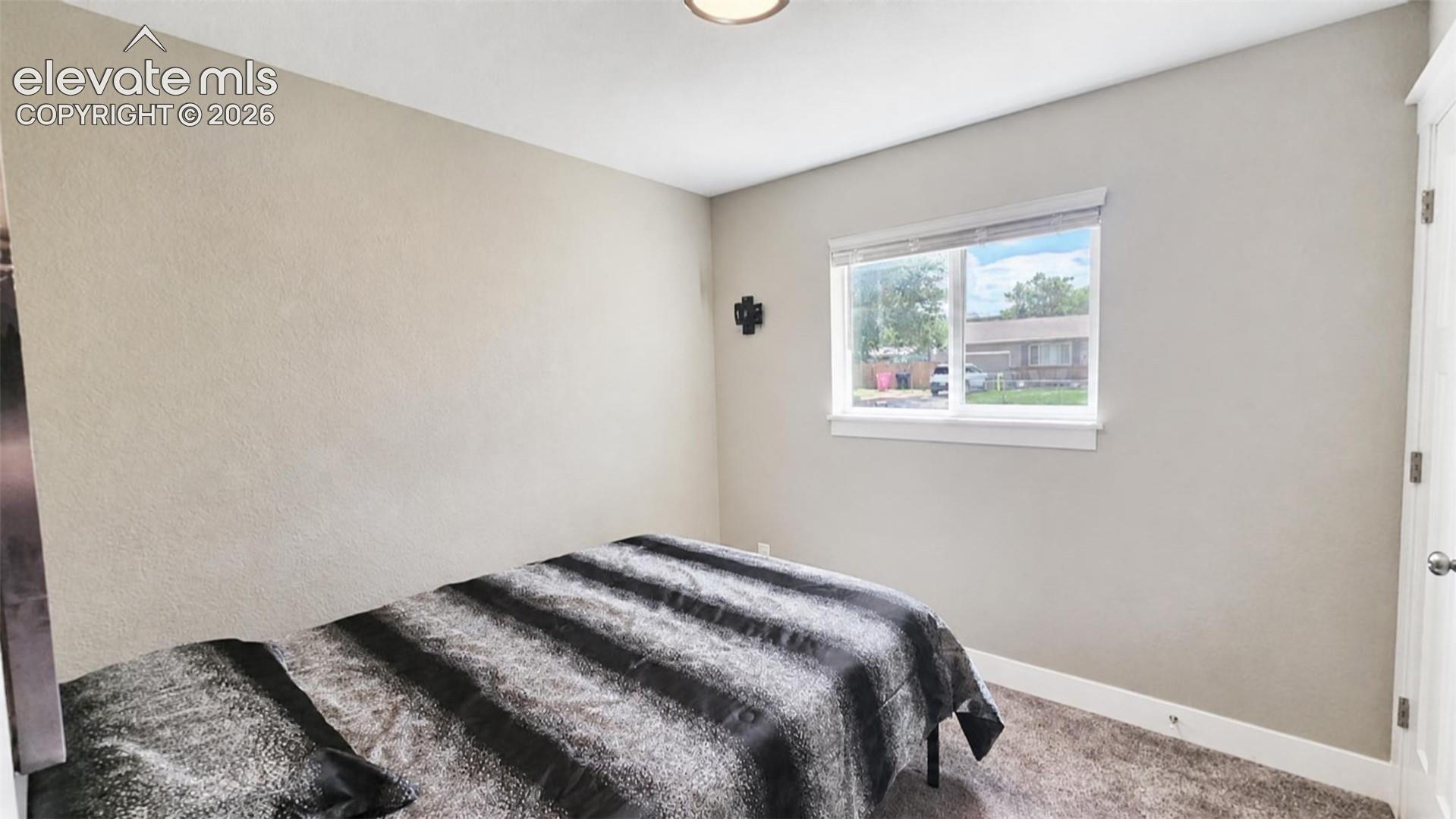 Neutral wall paint, white trim, and carpeted flooring