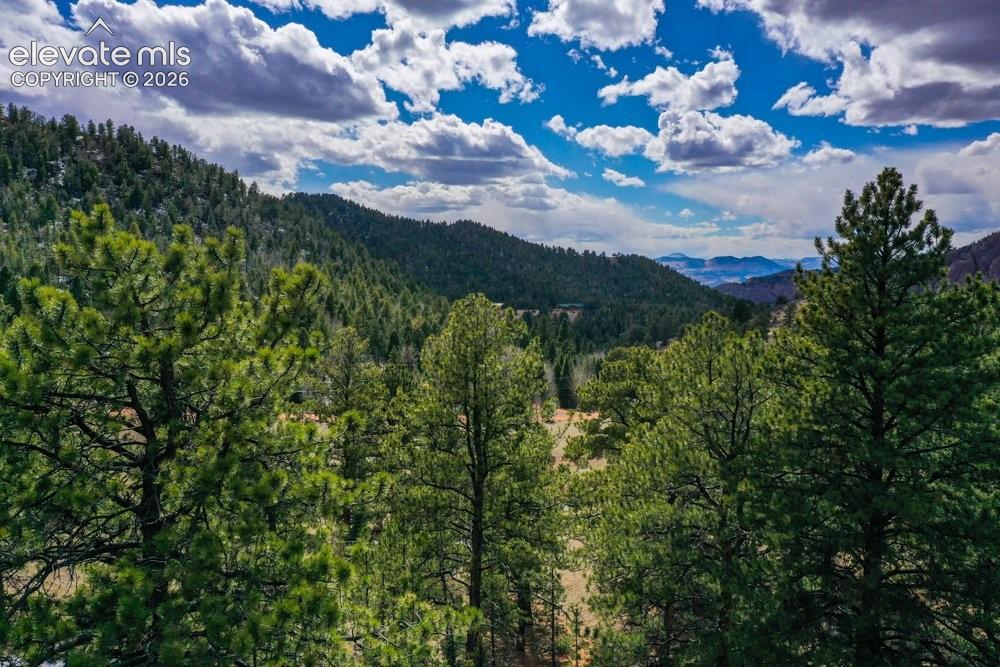 Mountain view featuring a view of trees
