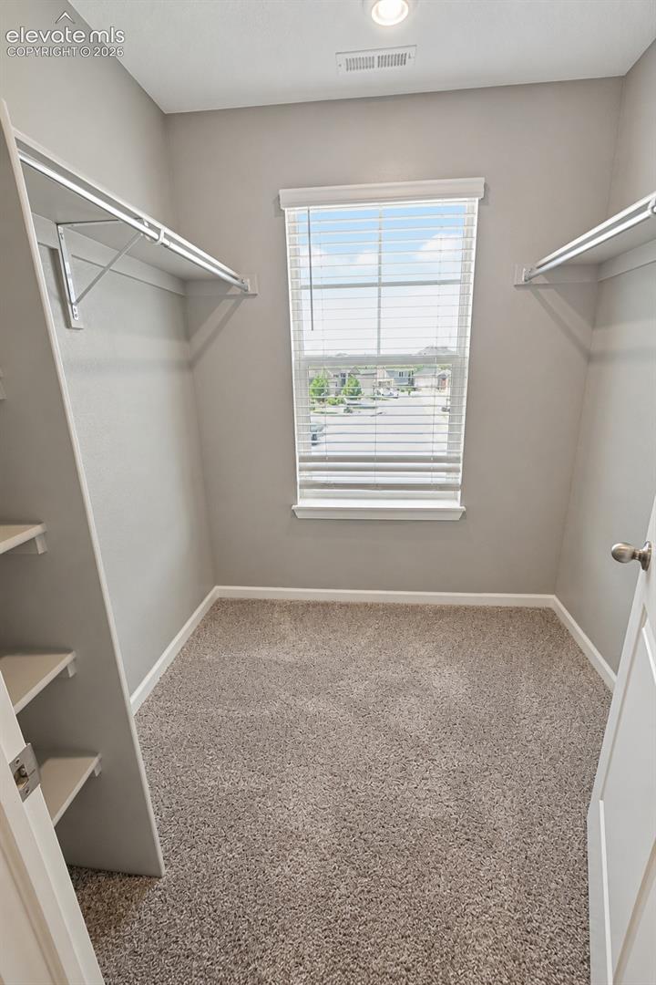 Photo 15 of 10429 Castor Drive, Colorado Springs