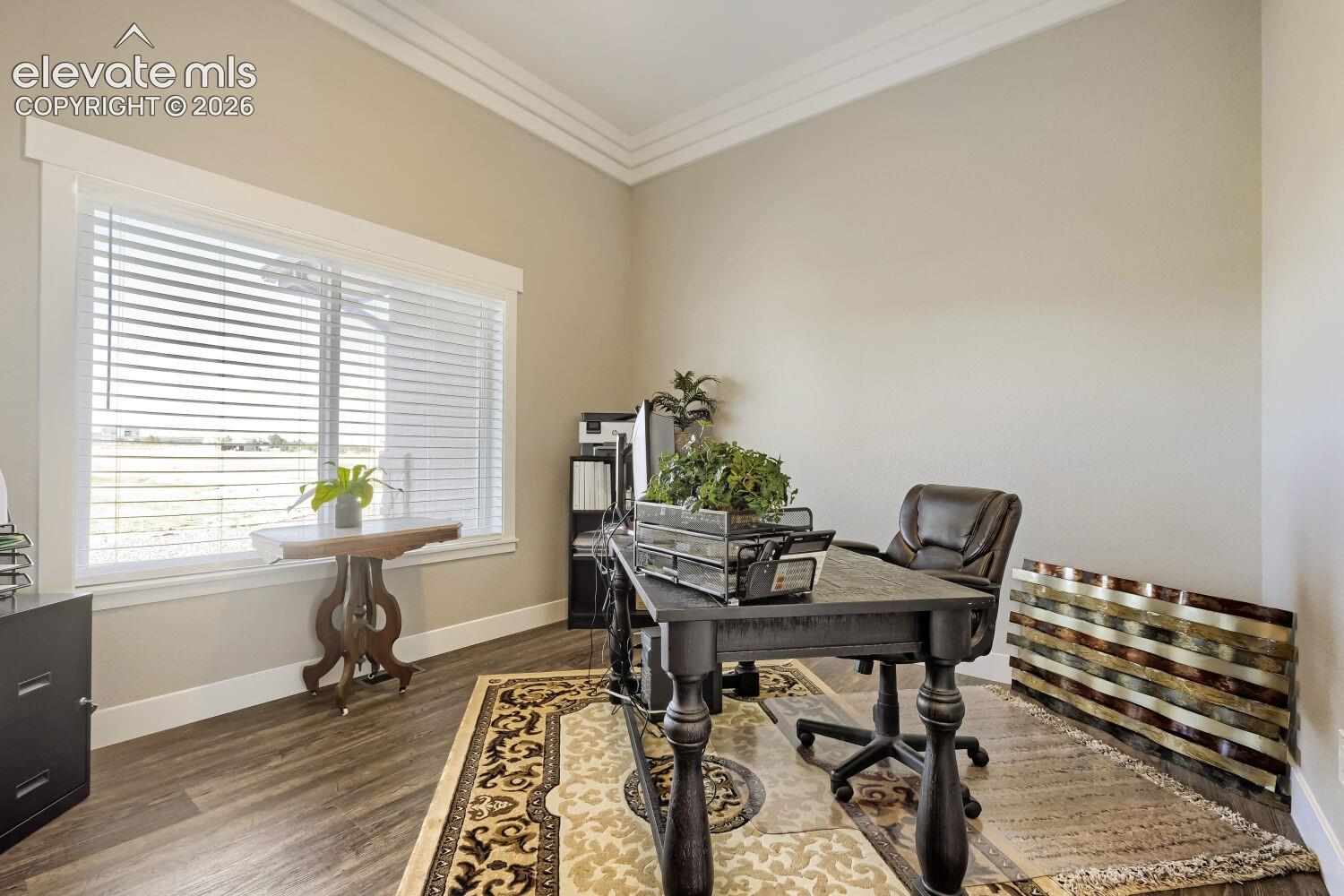 Neutral wall paint, wood-finish flooring, and white window trim