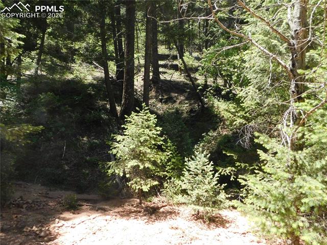 Photo 7 of 13175 Spruce Creek Circle, Larkspur