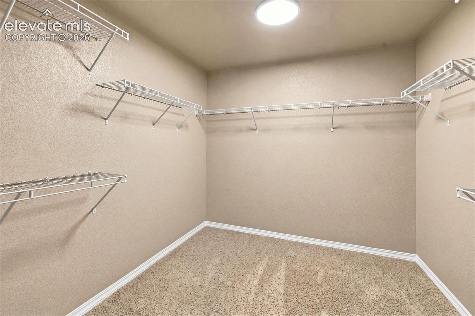 Photo 31 of 6798 Sandyford Lane, Colorado Springs
