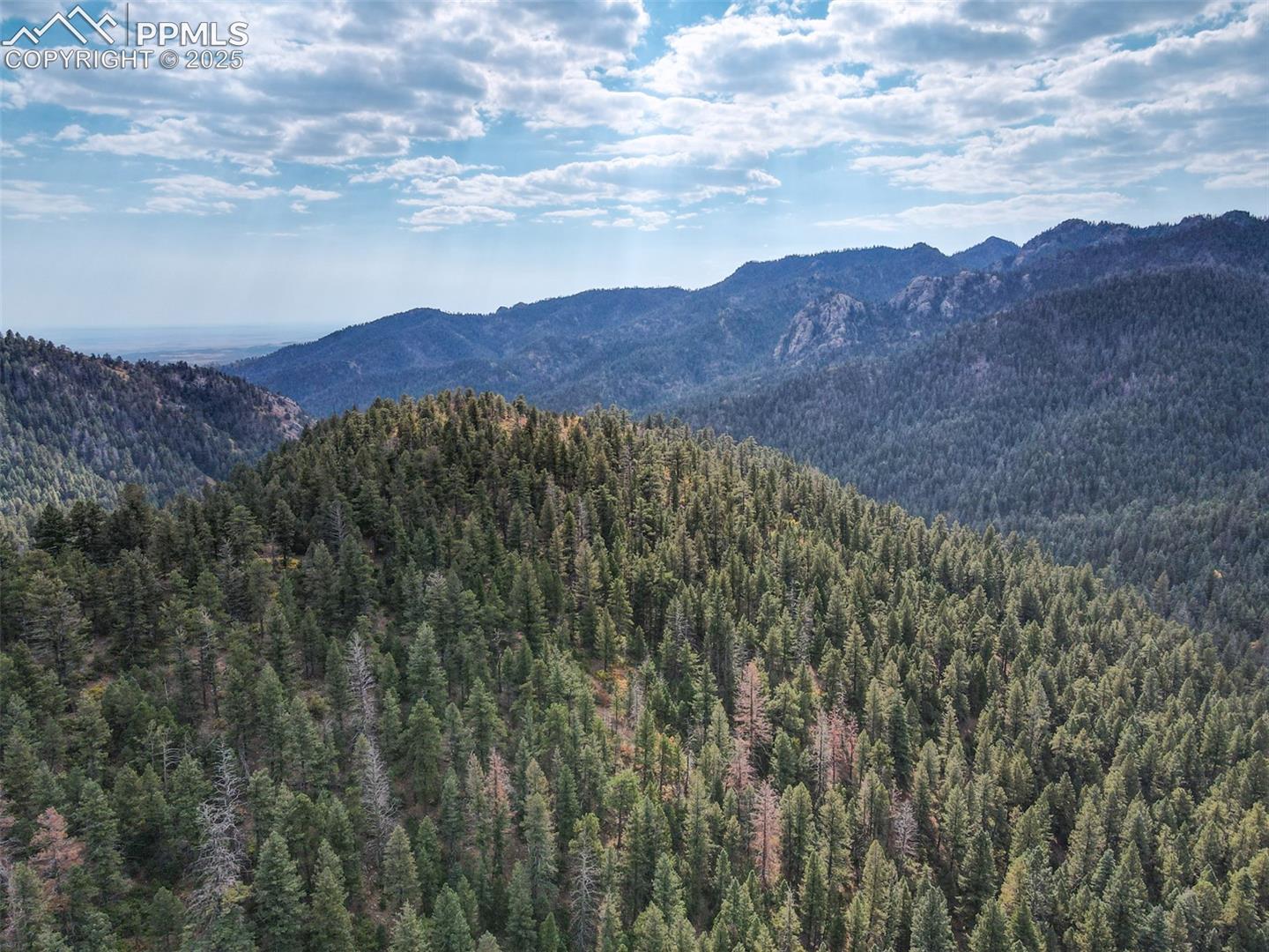 Photo 25 of 4950 Little Turkey Creek Road, Colorado Springs