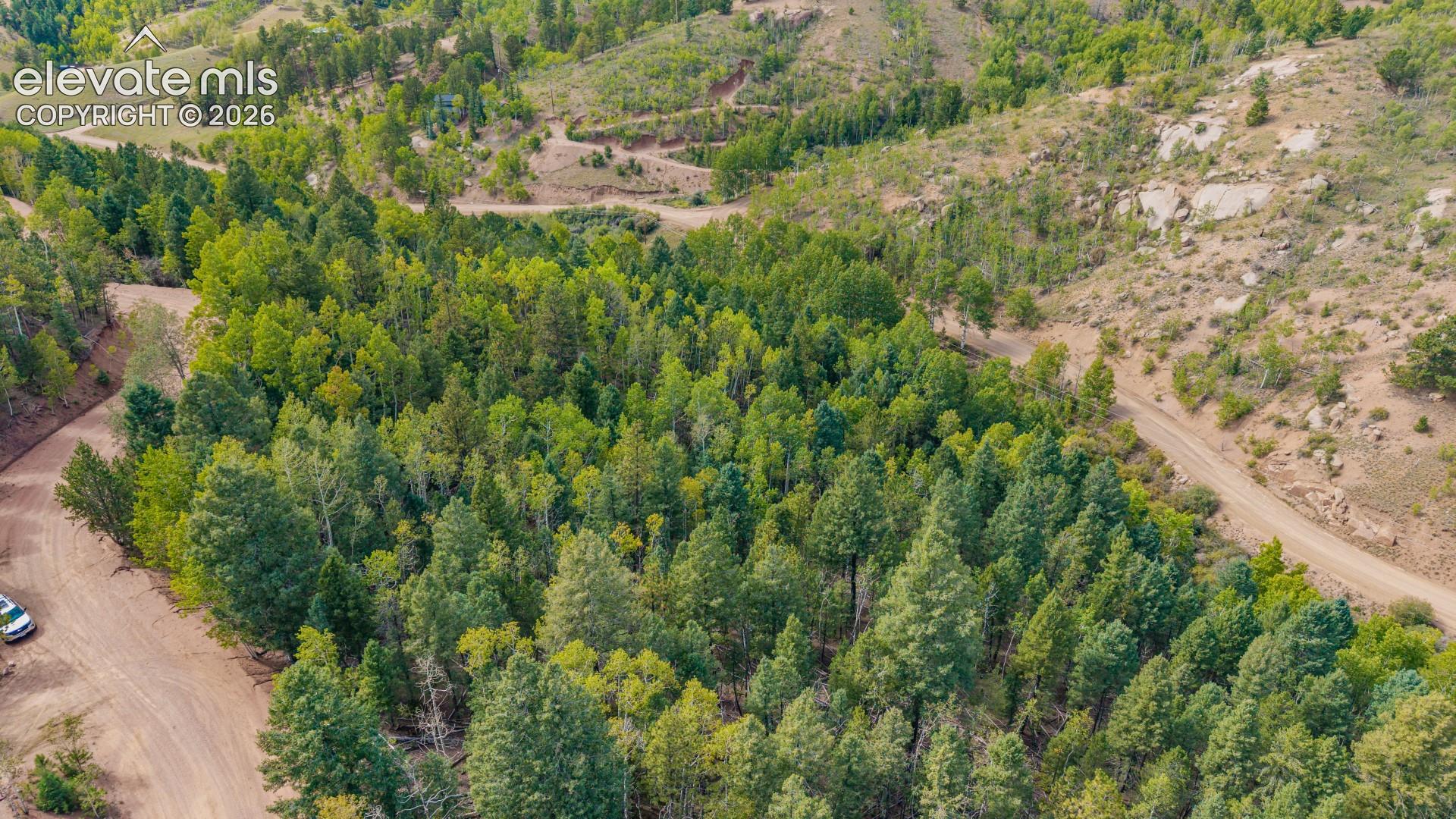 Photo 23 of 1034 Little Topsey Drive, Cripple Creek