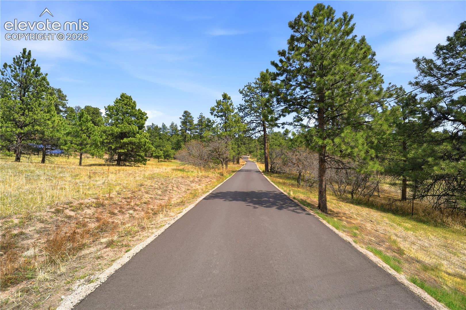 Photo 10 of 15950 Roller Coaster Road, Colorado Springs