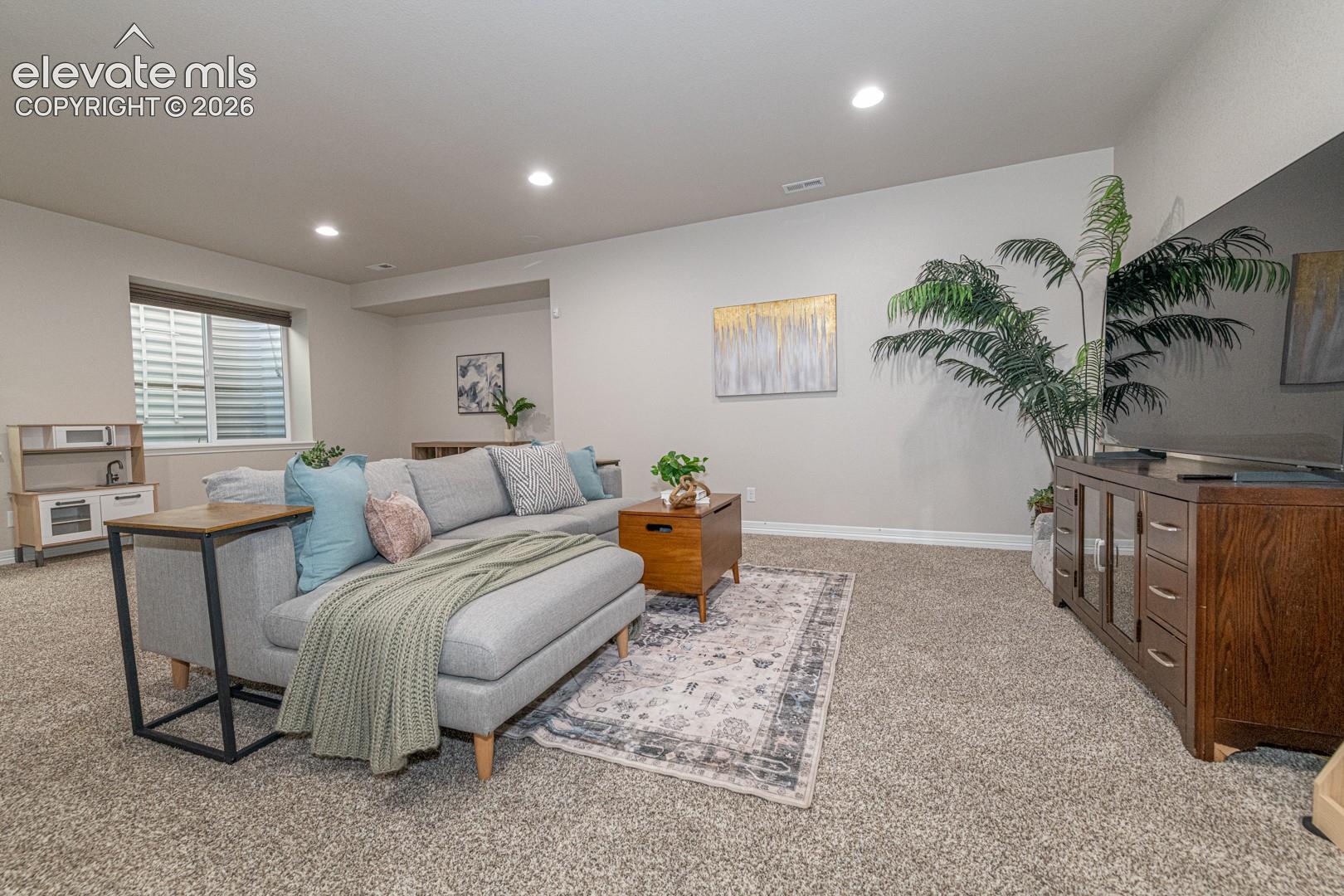 Basement Family Room