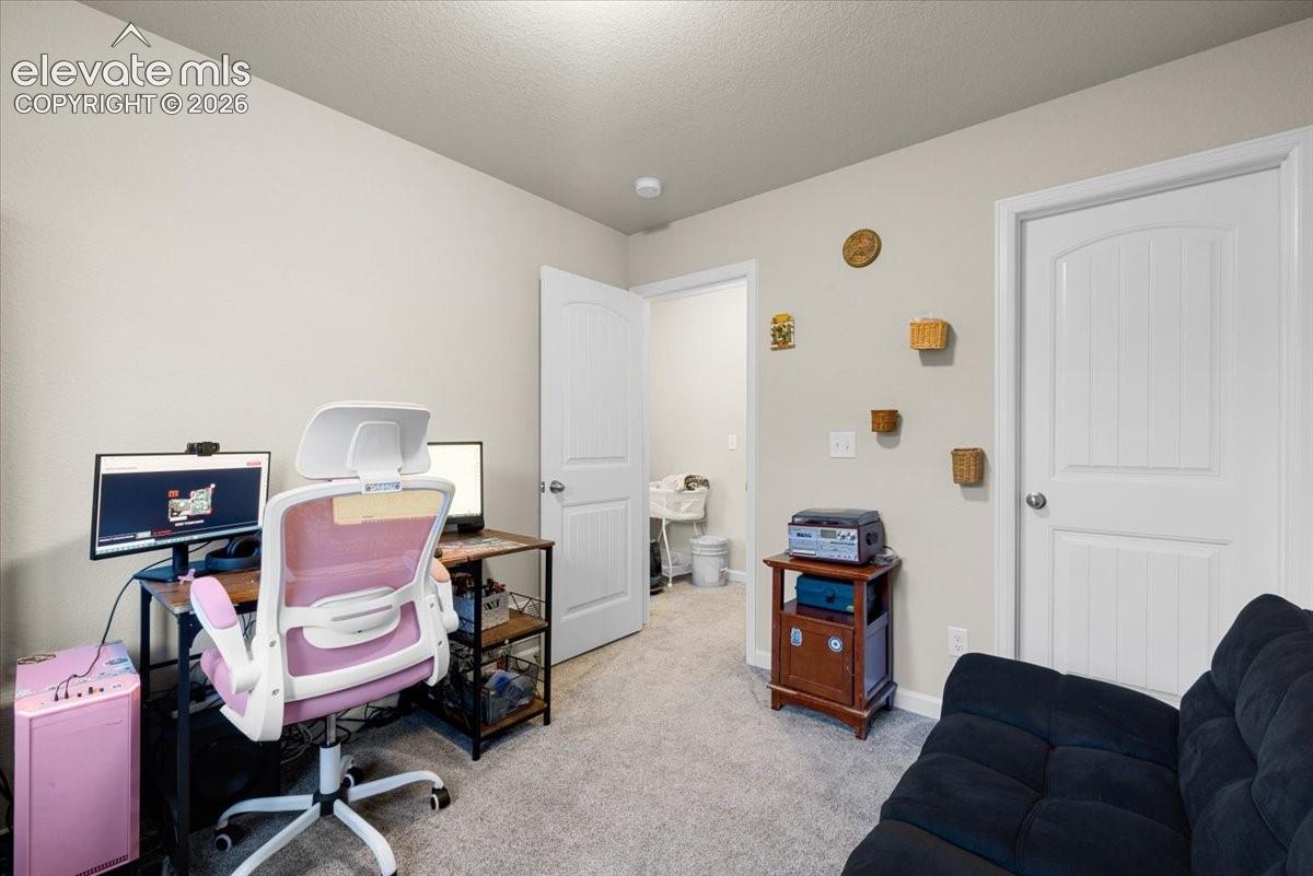 Soft gray carpeting with light neutral wall paint