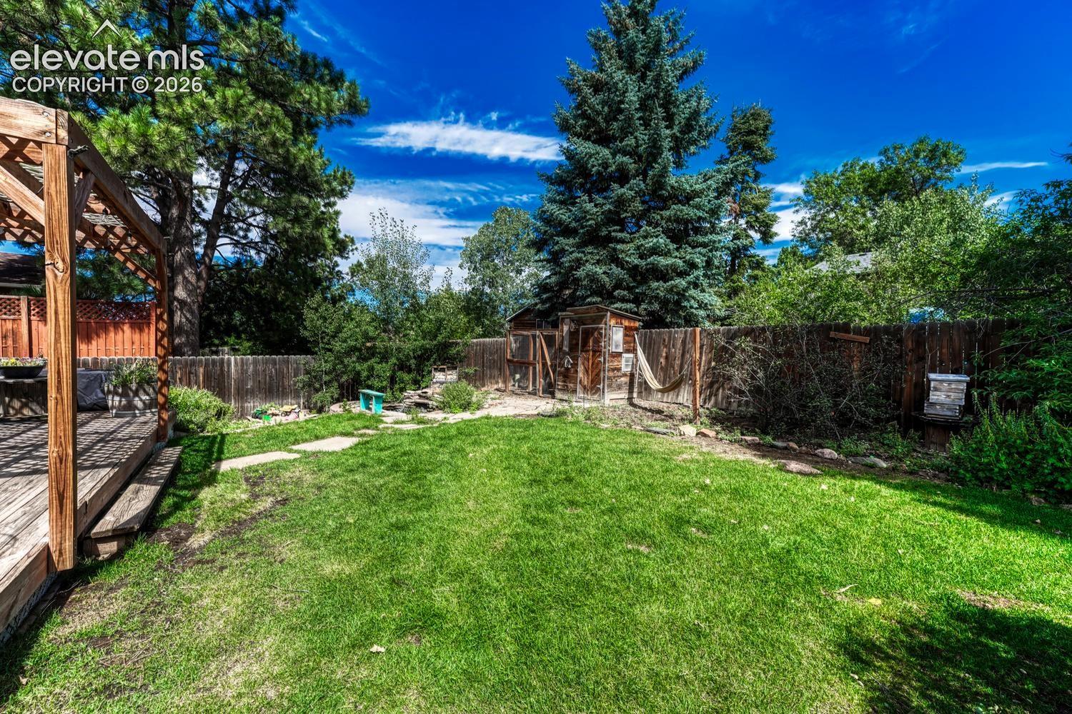 Grass area for the kids and pets to play.