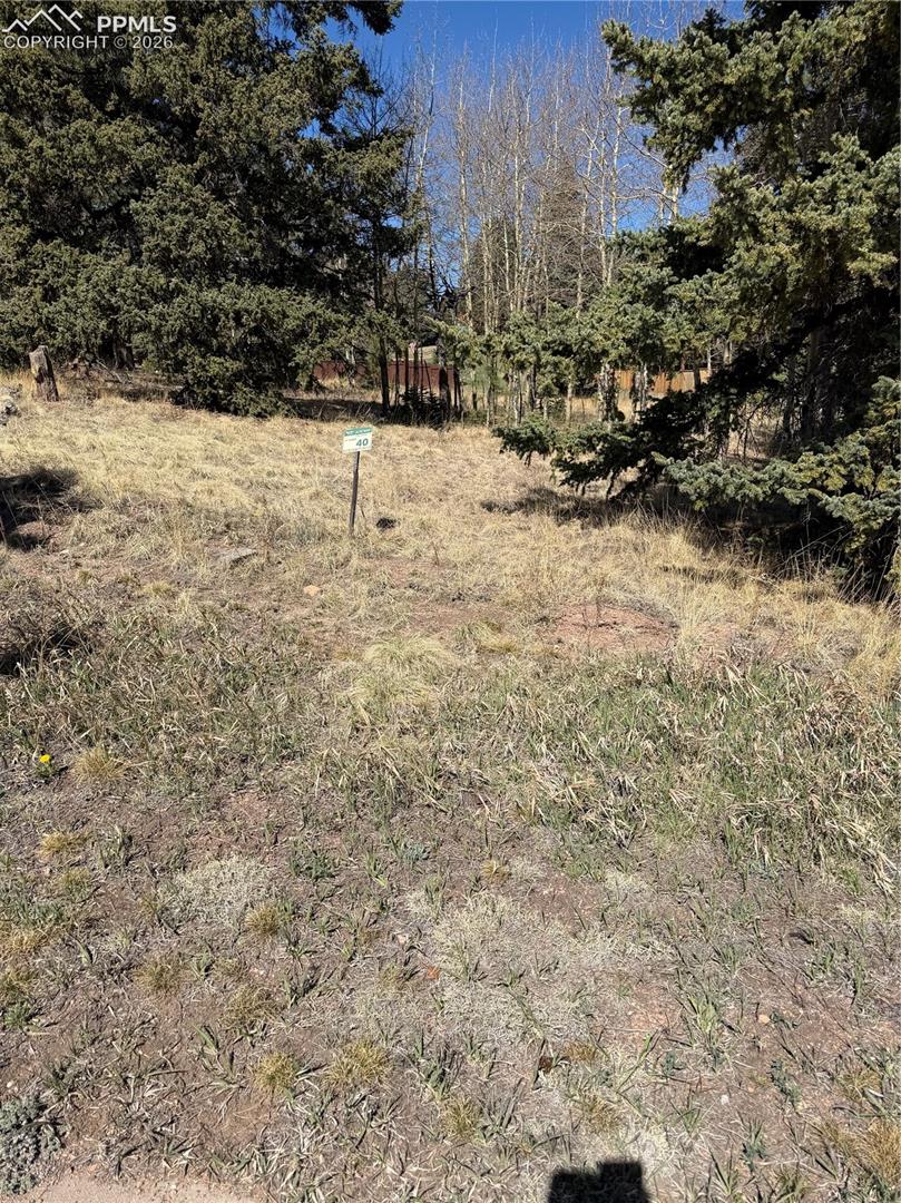 Photo 8 of 405 Meadow Park Drive, Divide