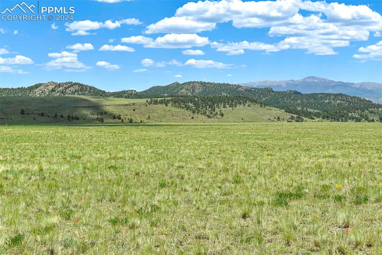 0 County Road 63, Guffey, CO 80820