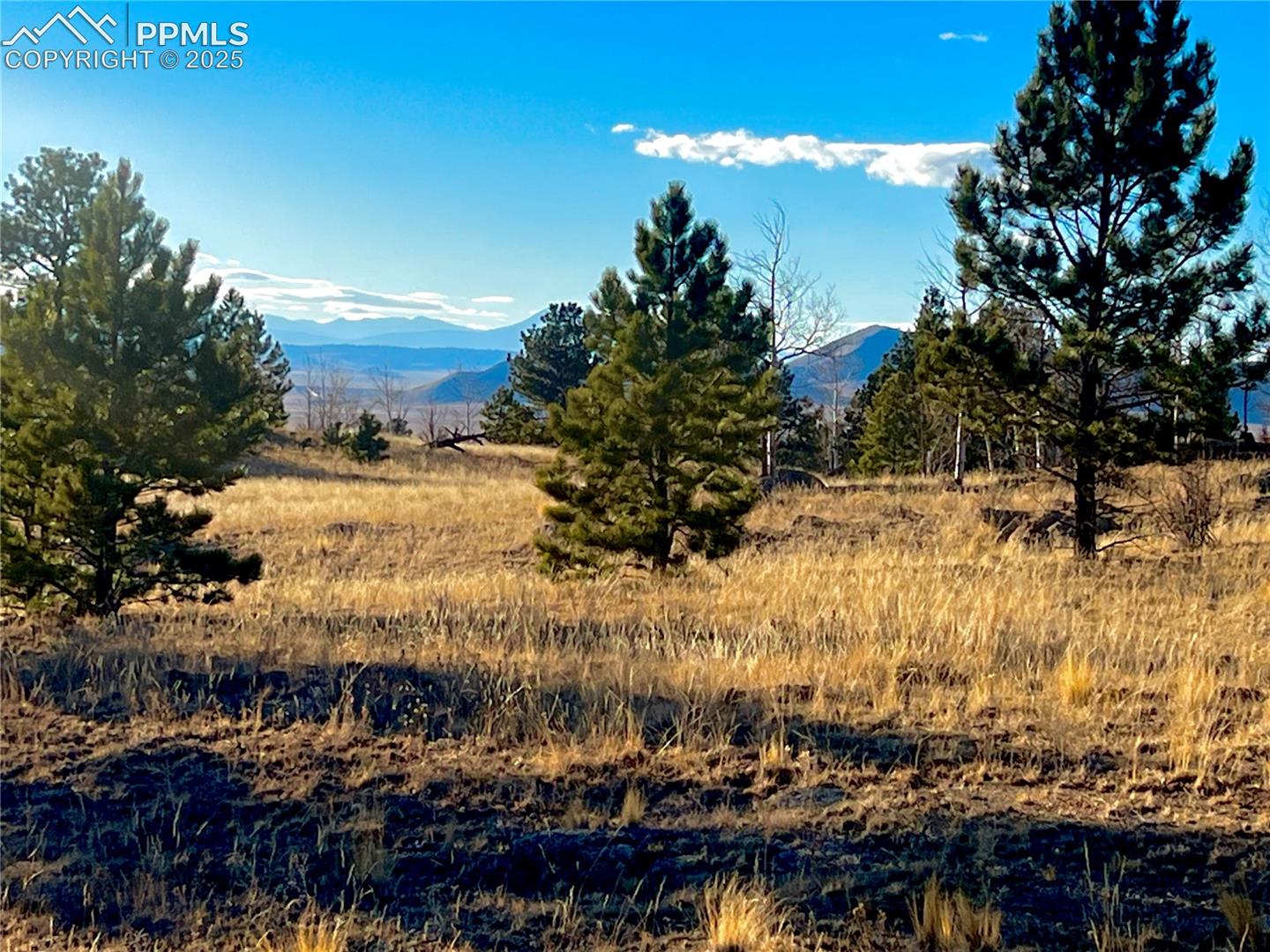 215 Topaz Rd, Lake George, CO 80827
